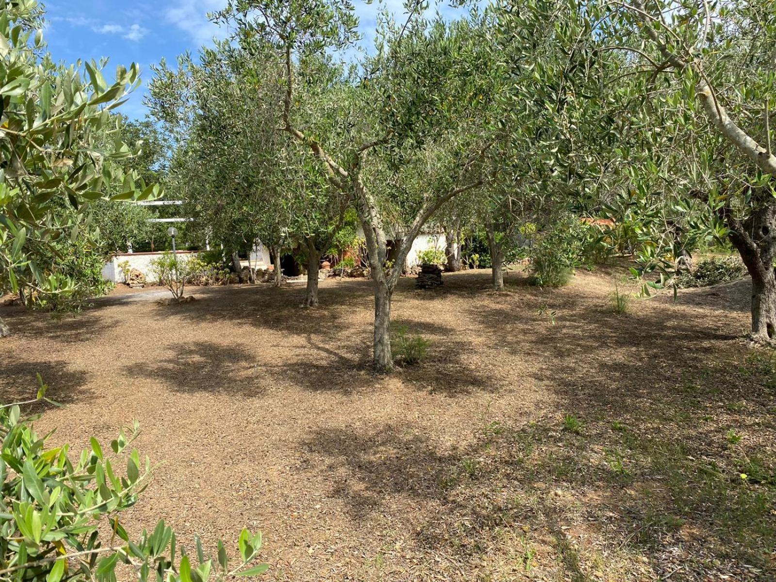 Domo Angheleda - Alghero Casa Indipendente Vicino Al Mare Zewnętrze zdjęcie